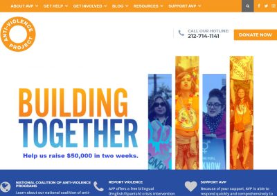 New York City Anti-Violence Project